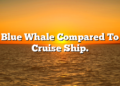 Blue Whale Compared To Cruise Ship.