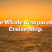Blue Whale Compared To Cruise Ship.