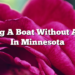 Buying A Boat Without A Title In Minnesota