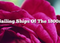 Sailing Ships Of The 1800s.