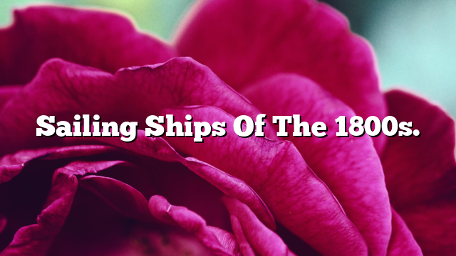 Sailing Ships Of The 1800s.