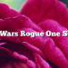 Star Wars Rogue One Ships.